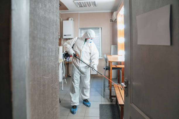 Best Mold-Related Health Consultation  in Mira Monte, CA