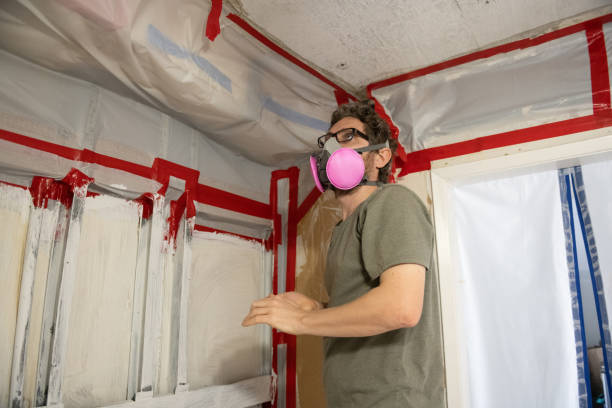 Best Industrial Mold Remediation  in Mira Monte, CA