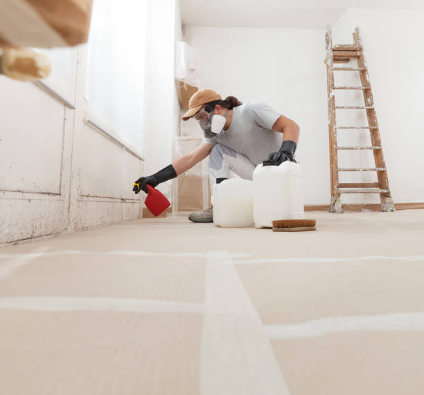 Best Crawl Space Mold Remediation  in Mira Monte, CA
